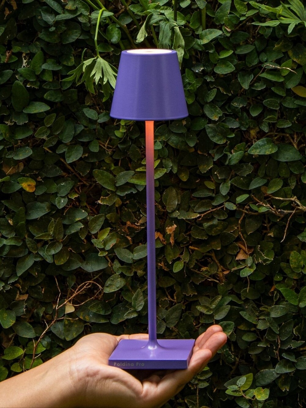 Zafferano Poldina Pro Micro Table Lamp